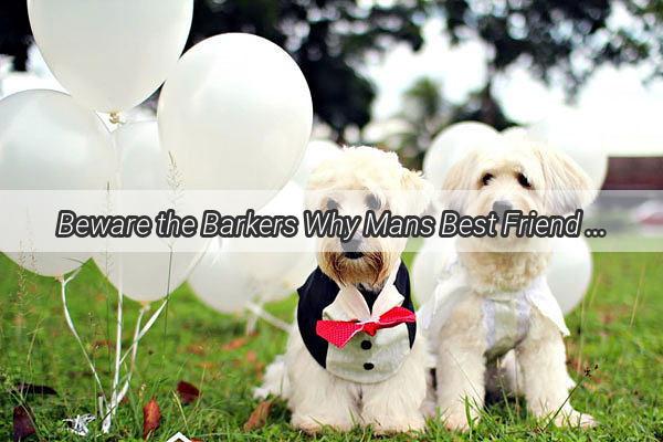 Beware the Barkers Why Mans Best Friend is Now a National Treasure